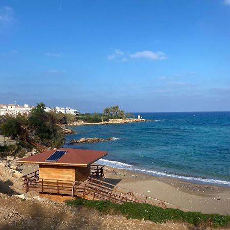Olive Tree Villa - Protaras Zewnętrze zdjęcie