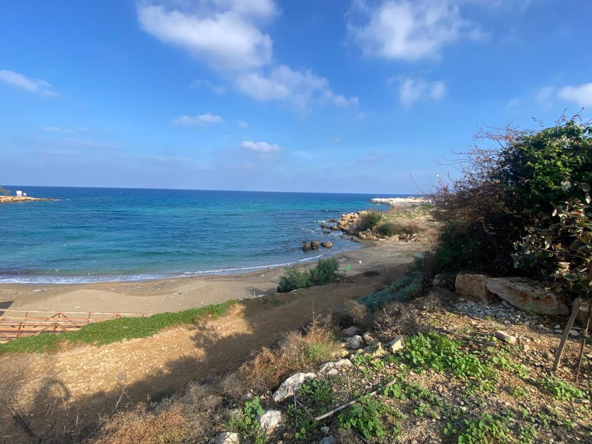 Olive Tree Villa - Protaras Zewnętrze zdjęcie
