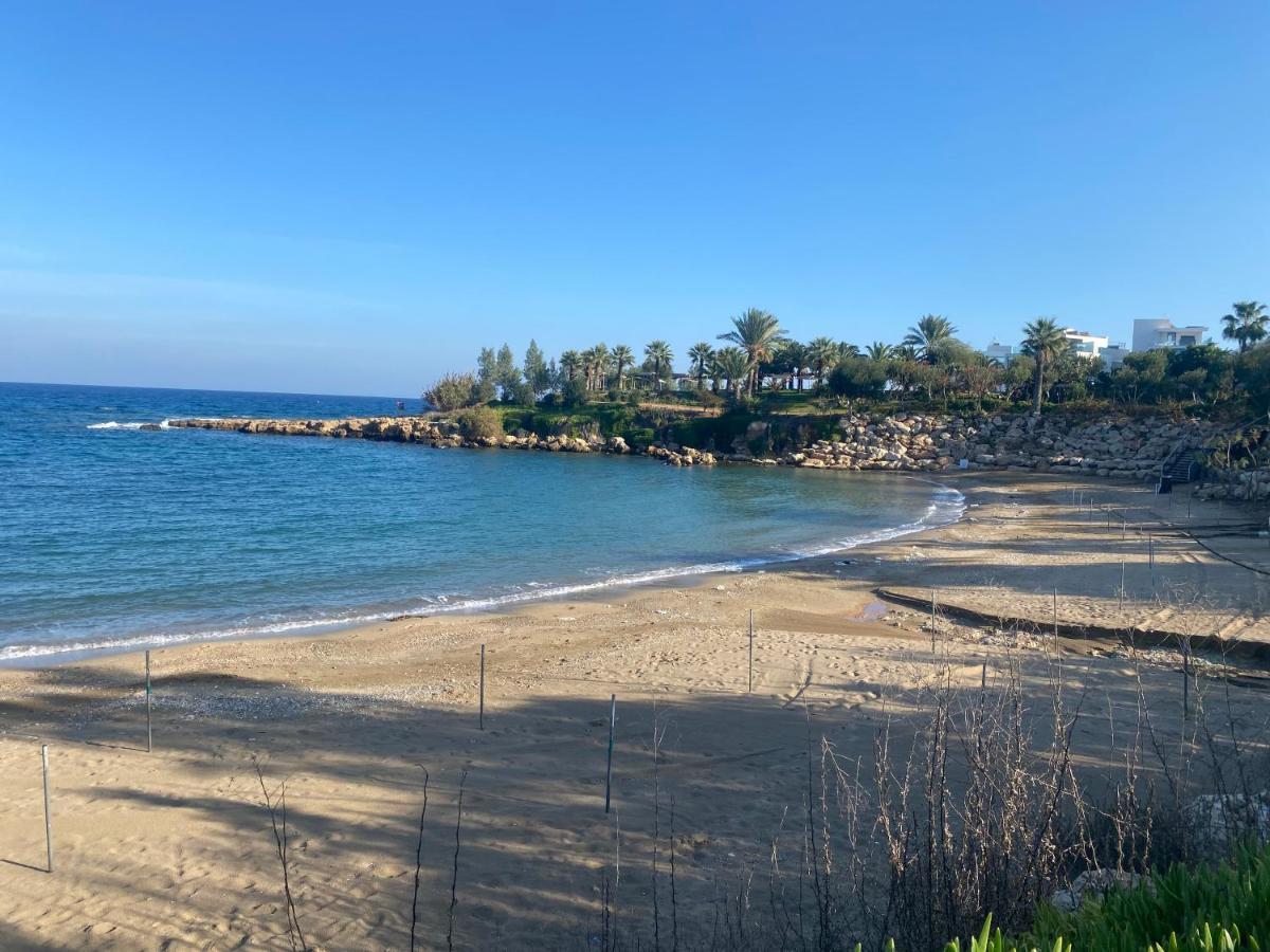 Olive Tree Villa - Protaras Zewnętrze zdjęcie
